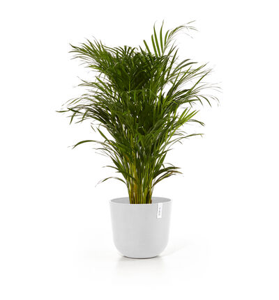 Ecopots Oslo hvit 45 cm Ecopots Oslo hvit 45 cm